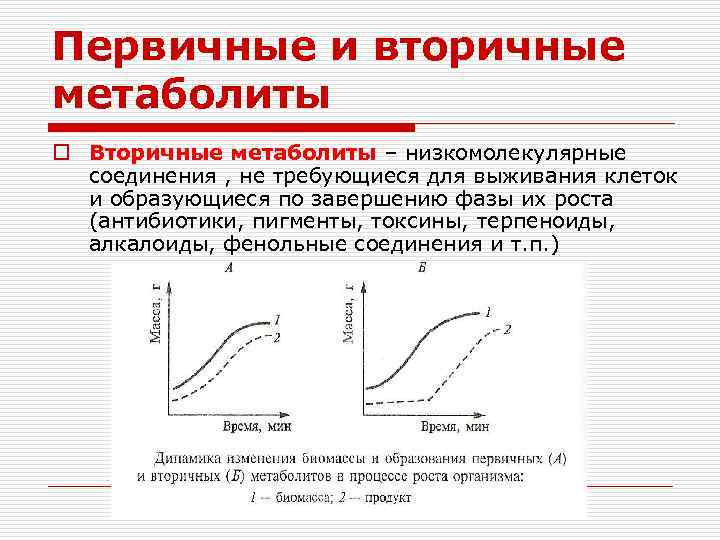Первичные и вторичные метаболиты o Вторичные метаболиты – низкомолекулярные соединения , не требующиеся для
