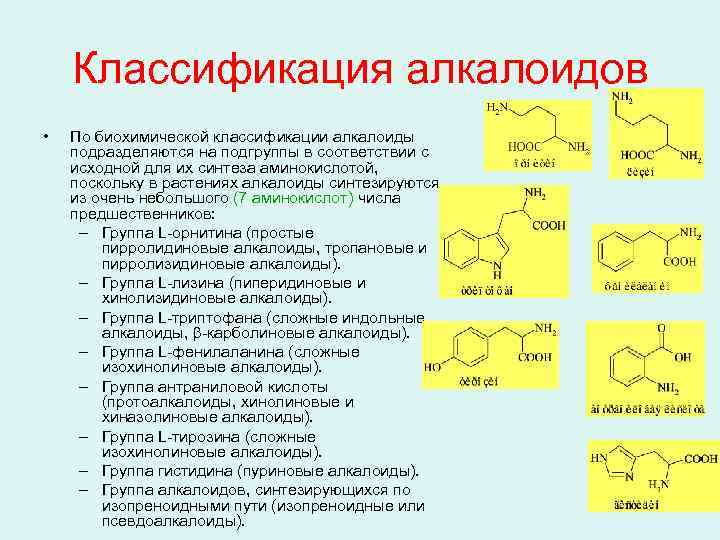 Функциональные группы с азотом. Классификация изохинолиновых алкалоидов. Классификация алкалоидов истинные протоалкалоиды. Алкалоиды общая формула. Ациклические алкалоиды.