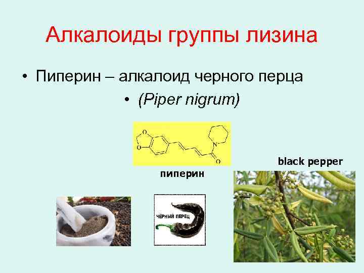 Алкалоиды группы лизина • Пиперин – алкалоид черного перца • (Piper nigrum) пиперин black