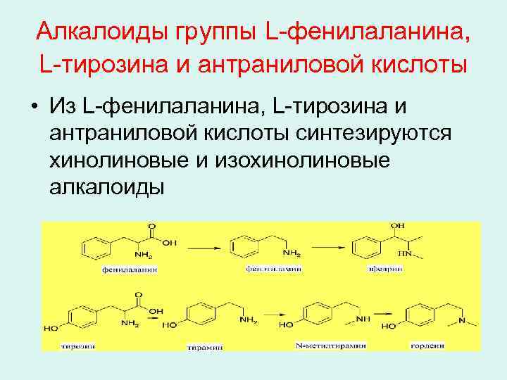 Алкалоиды группы L-фенилаланина, L-тирозина и антраниловой кислоты • Из L-фенилаланина, L-тирозина и антраниловой кислоты
