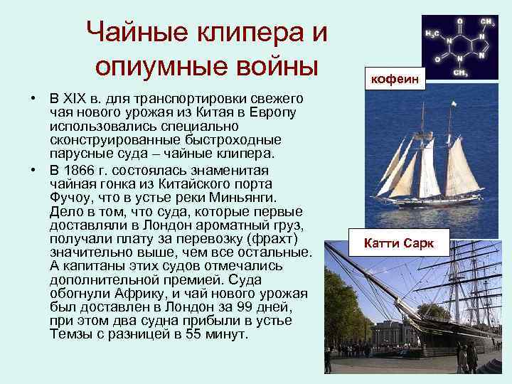Чайные клипера и опиумные войны • В XIX в. для транспортировки свежего чая нового