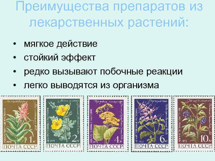 Преимущества препаратов из лекарственных растений: • • мягкое действие стойкий эффект редко вызывают побочные