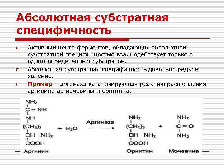 Абсолютная субстратная специфичность o o o Активный центр ферментов, обладающих абсолютной субстратной специфичностью взаимодействует