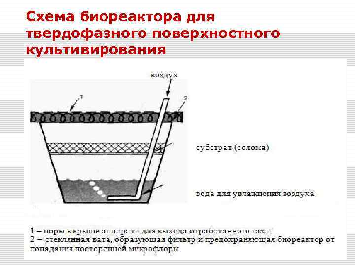 Схема биореактора для твердофазного поверхностного культивирования 