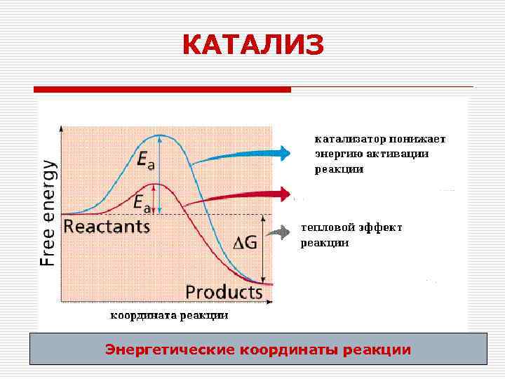 КАТАЛИЗ Энергетические координаты реакции 