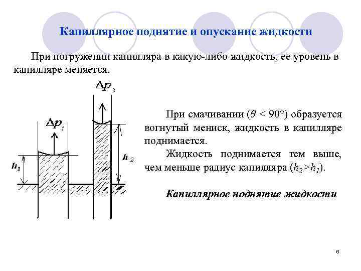 Капиллярное поднятие и опускание жидкости При погружении капилляра в какую-либо жидкость, ее уровень в