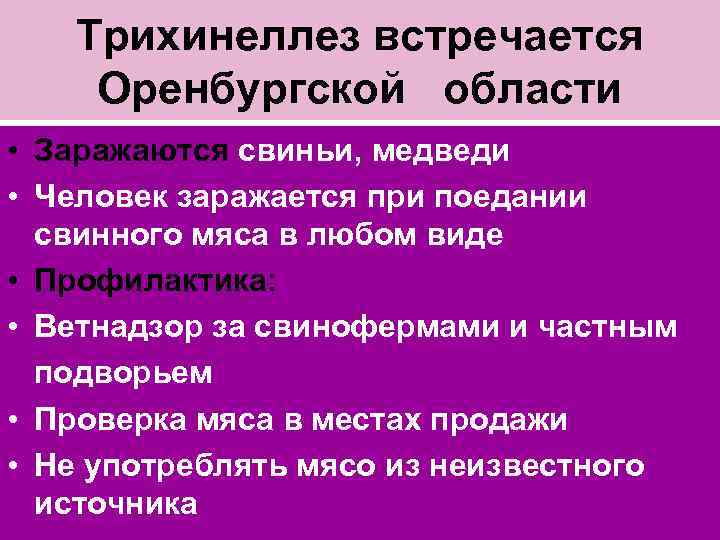 Трихинеллез встречается Оренбургской области • Заражаются свиньи, медведи • Человек заражается при поедании свинного