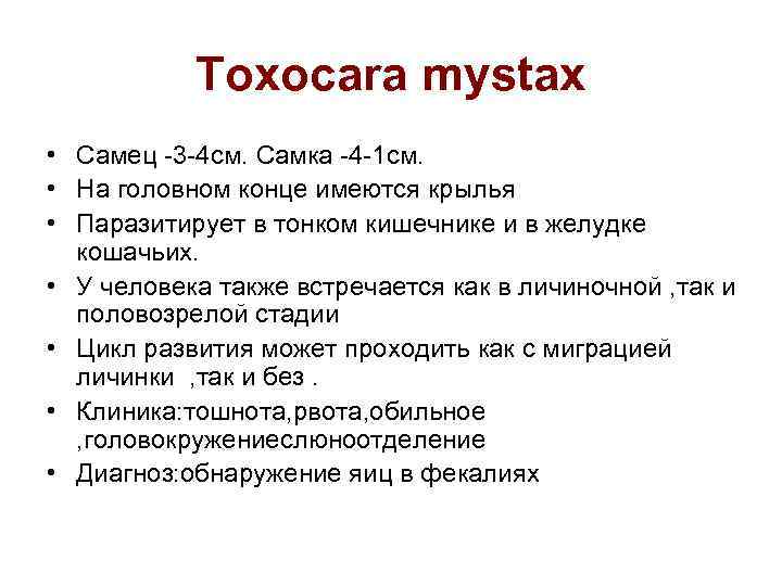 Toxocara mystax • Самец -3 -4 см. Самка -4 -1 см. • На головном