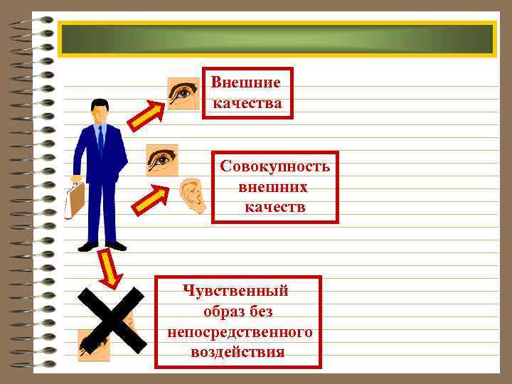 Внешние качества Совокупность внешних качеств Чувственный образ без непосредственного воздействия 