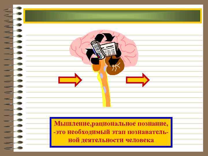Мышление, рациональное познание, -это необходимый этап познавательной деятельности человека 