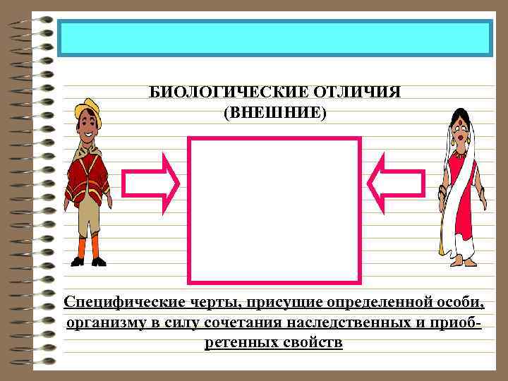 БИОЛОГИЧЕСКИЕ ОТЛИЧИЯ (ВНЕШНИЕ) Специфические черты, присущие определенной особи, организму в силу сочетания наследственных и