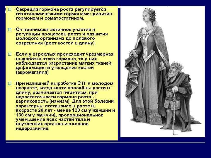 o Секреция гормона роста регулируется гипоталамическими гормонами: рилизингормоном и соматостатином. o Он принимает активное