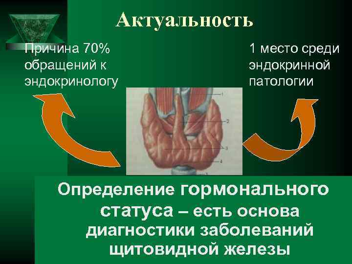 Актуальность Причина 70% обращений к эндокринологу 1 место среди эндокринной патологии Определение гормонального статуса