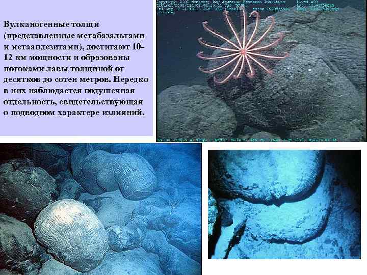 Вулканогенные толщи (представленные метабазальтами и метаандезитами), достигают 1012 км мощности и образованы потоками лавы