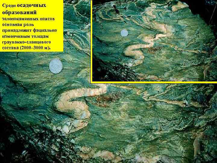 Среди осадочных образований зеленокаменных поясов основная роль принадлежит фациально изменчивым толщам граувакко-сланцевого состава (2000–