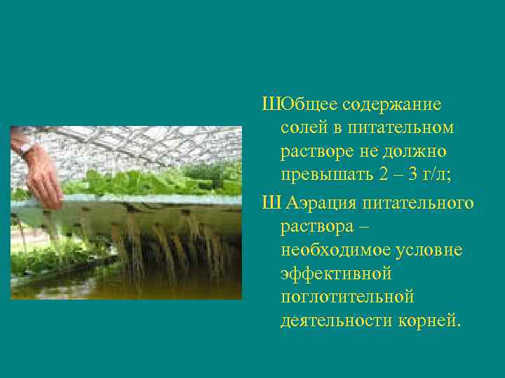 ШОбщее содержание солей в питательном растворе не должно превышать 2 – 3 г/л; Ш