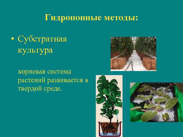 Гидропонные методы: • Субстратная культура корневая система растений развивается в твердой среде. 