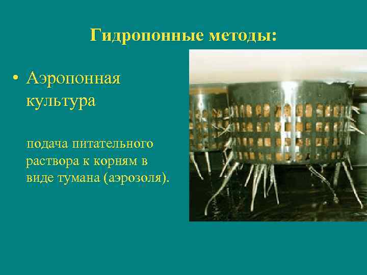 Гидропонные методы: • Аэропонная культура подача питательного раствора к корням в виде тумана (аэрозоля).
