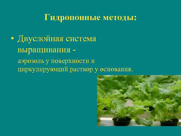 Гидропонные методы: • Двуслойная система выращивания аэрозоль у поверхности и циркулирующий раствор у основания.