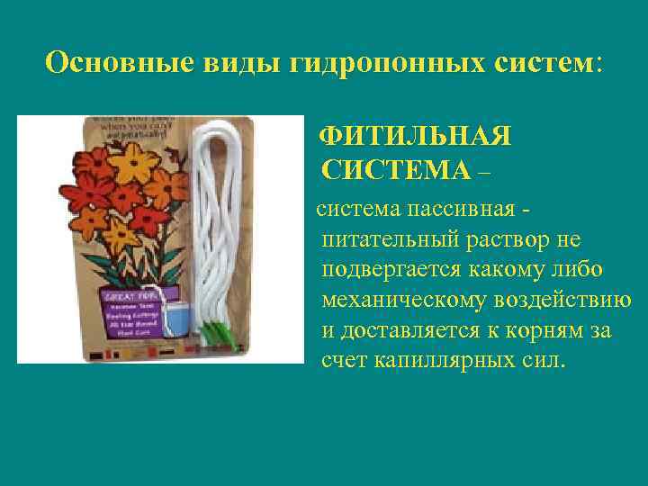 Основные виды гидропонных систем: ФИТИЛЬНАЯ СИСТЕМА – система пассивная - питательный раствор не подвергается