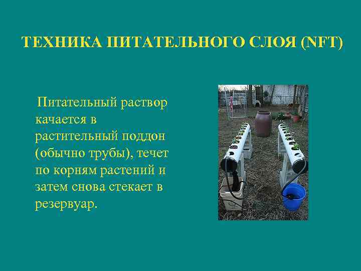 ТЕХНИКА ПИТАТЕЛЬНОГО СЛОЯ (NFT) Питательный раствор качается в растительный поддон (обычно трубы), течет по