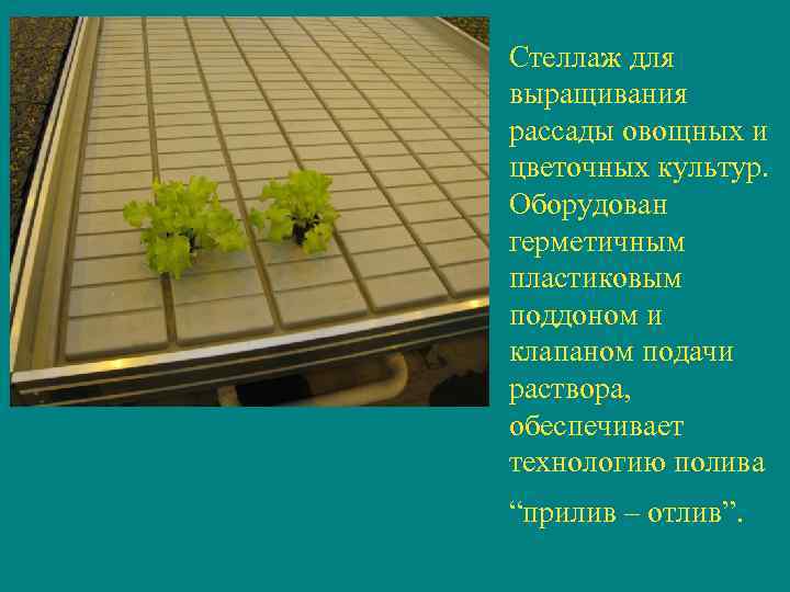 Стеллаж для выращивания рассады овощных и цветочных культур. Оборудован герметичным пластиковым поддоном и клапаном