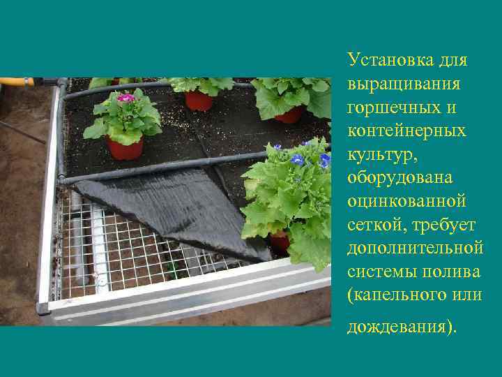 Установка для выращивания горшечных и контейнерных культур, оборудована оцинкованной сеткой, требует дополнительной системы полива