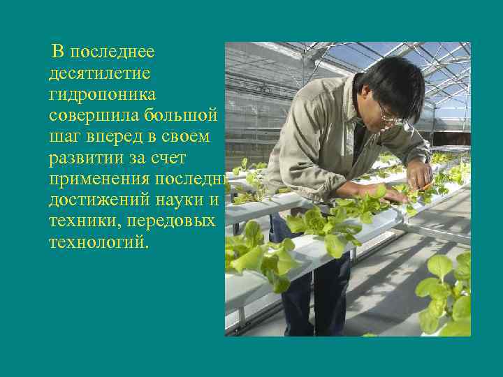 В последнее десятилетие гидропоника совершила большой шаг вперед в своем развитии за счет применения