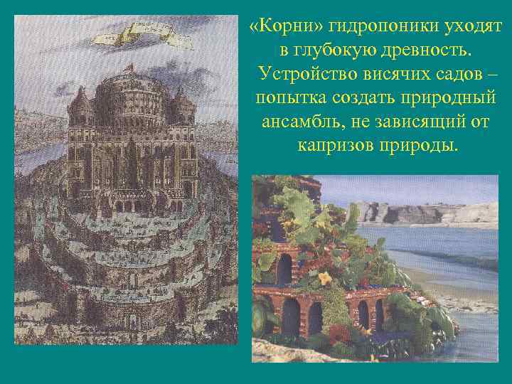  «Корни» гидропоники уходят в глубокую древность. Устройство висячих садов – попытка создать природный