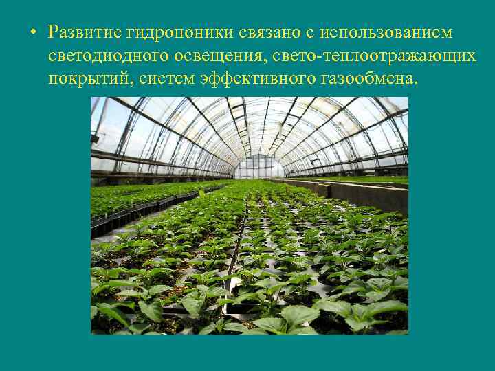  • Развитие гидропоники связано с использованием светодиодного освещения, свето-теплоотражающих покрытий, систем эффективного газообмена.