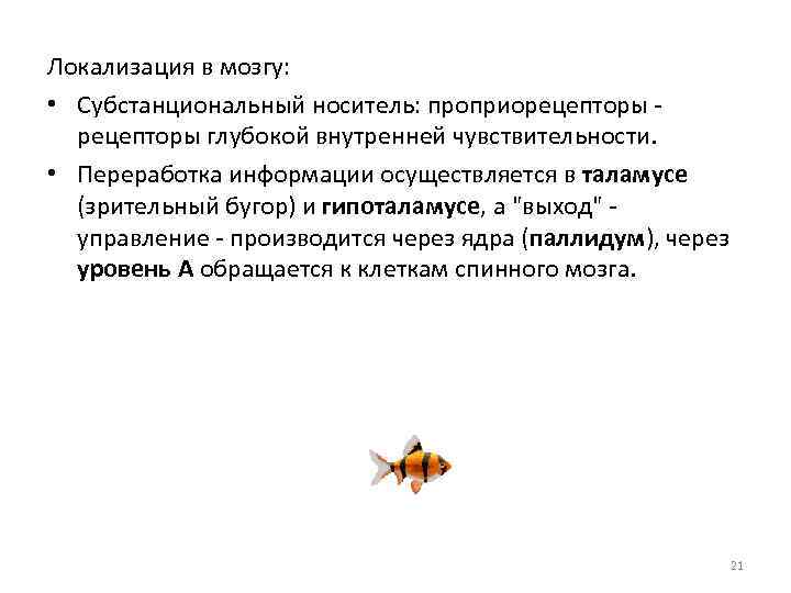 Локализация в мозгу: • Субстанциональный носитель: проприорецепторы глубокой внутренней чувствительности. • Переработка информации осуществляется