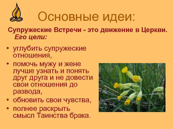Основные идеи: Супружеские Встречи - это движение в Церкви. Его цели: • углубить супружеские