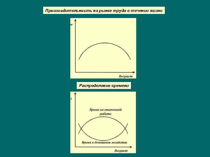 Производительность на рынке труда в течении жизни Распределение времени 