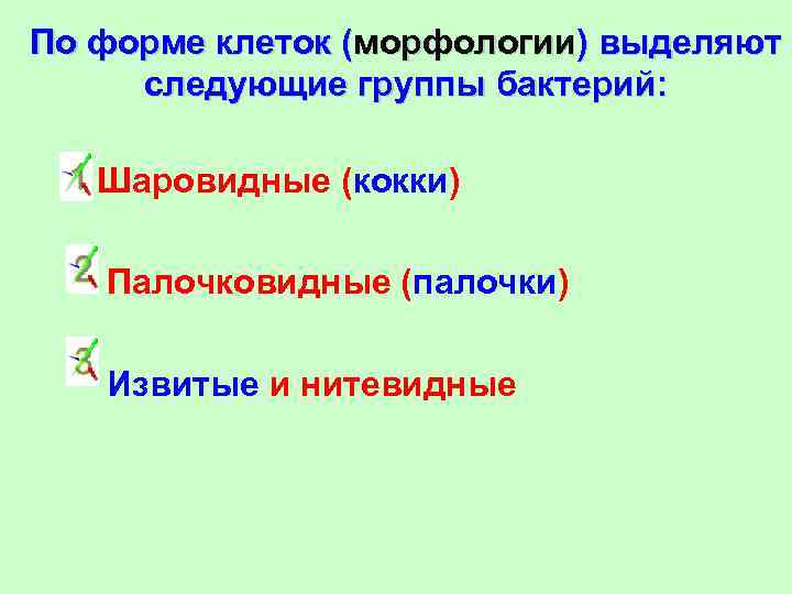 По форме клеток (морфологии) выделяют следующие группы бактерий: Шаровидные (кокки) Палочковидные (палочки) Извитые и
