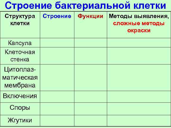 Строение бактериальной клетки Структура клетки Капсула Клеточная стенка Цитоплазматическая мембрана Включения Споры Жгутики Строение
