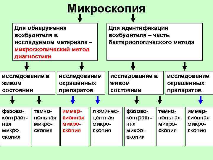 Микроскопия Для обнаружения возбудителя в исследуемом материале – микроскопический метод диагностики исследование в живом
