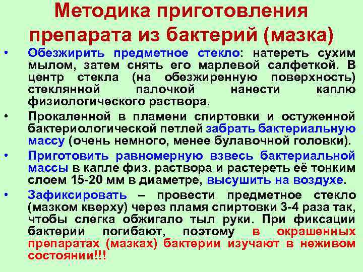  • • Методика приготовления препарата из бактерий (мазка) Обезжирить предметное стекло: натереть сухим