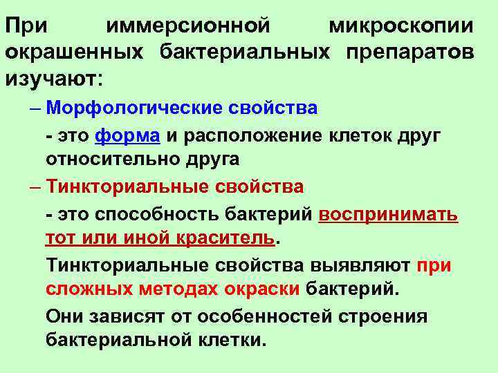 Иммерсионная микроскопия