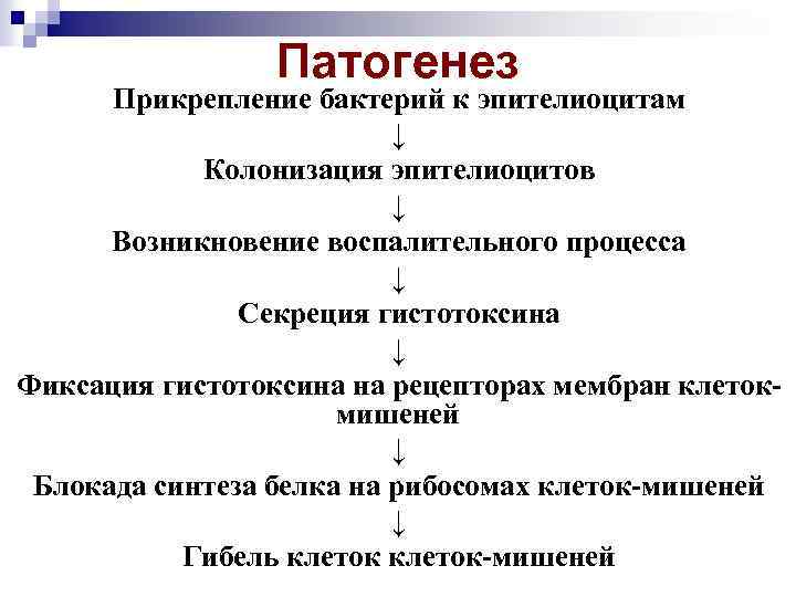 Патогенез Прикрепление бактерий к эпителиоцитам ↓ Колонизация эпителиоцитов ↓ Возникновение воспалительного процесса ↓ Секреция
