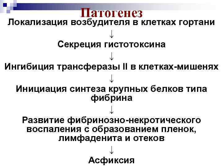 Патогенез Локализация возбудителя в клетках гортани ↓ Секреция гистотоксина ↓ Ингибиция трансферазы II в