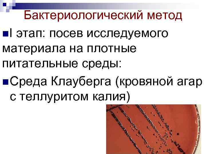 Бактериологический метод n. I этап: посев исследуемого материала на плотные питательные среды: n Среда