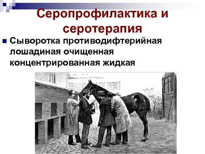 Серопрофилактика и серотерапия n Сыворотка противодифтерийная лошадиная очищенная концентрированная жидкая 