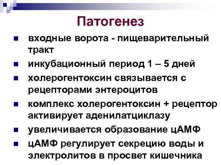 Патогенез n n n входные ворота - пищеварительный тракт инкубационный период 1 – 5