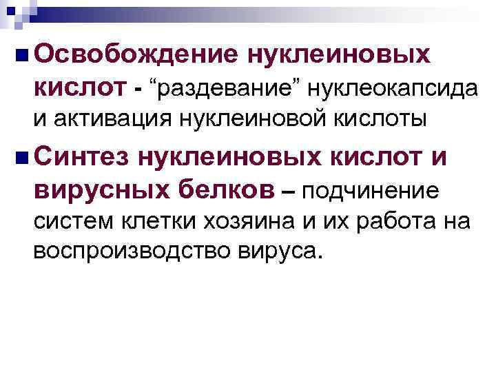 n Освобождение нуклеиновых кислот “раздевание” нуклеокапсида и активация нуклеиновой кислоты n Синтез нуклеиновых кислот