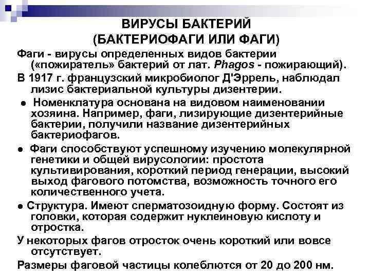 ВИРУСЫ БАКТЕРИЙ (БАКТЕРИОФАГИ ИЛИ ФАГИ) Фаги вирусы определенных видов бактерии ( «пожиратель» бактерий от