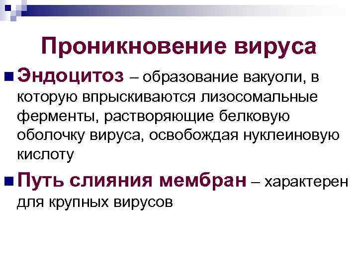 Проникновение вируса n Эндоцитоз – образование вакуоли, в которую впрыскиваются лизосомальные ферменты, растворяющие белковую