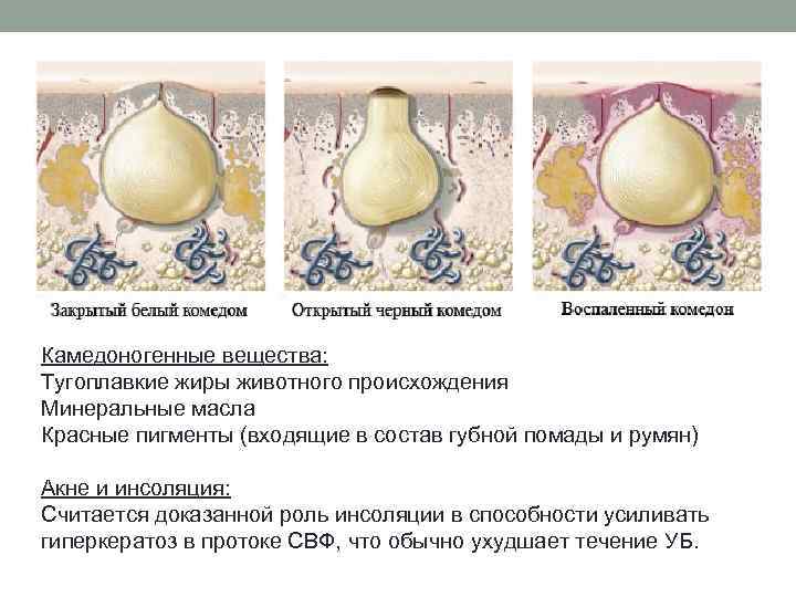 Камедоногенные вещества: Тугоплавкие жиры животного происхождения Минеральные масла Красные пигменты (входящие в состав губной