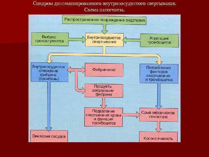 Синдром диссеминированного внутрисосудистого свертывания. Схема патогенеза. 