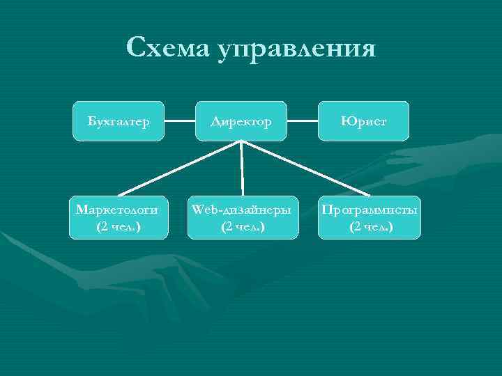 Схема управления Бухгалтер Директор Маркетологи (2 чел. ) Web-дизайнеры (2 чел. ) Юрист Программисты