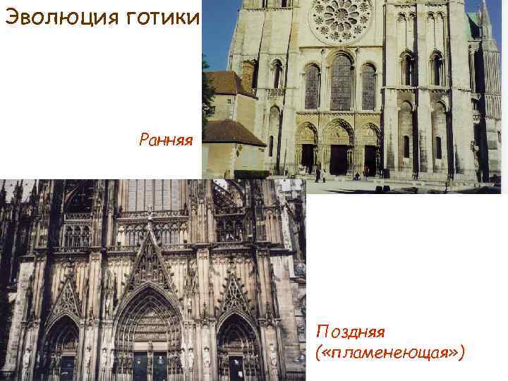 Эволюция готики Ранняя Поздняя ( «пламенеющая» ) 